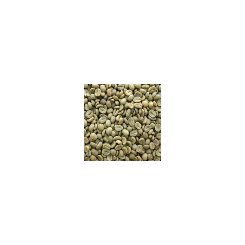 Guatemala SHB EP Unroasted Coffee Beans