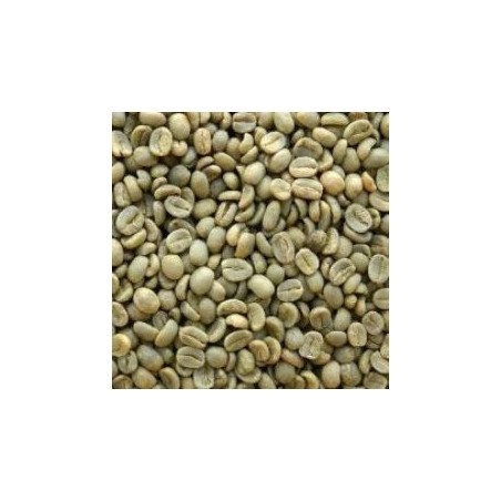 Guatemala SHB EP Unroasted Coffee Beans