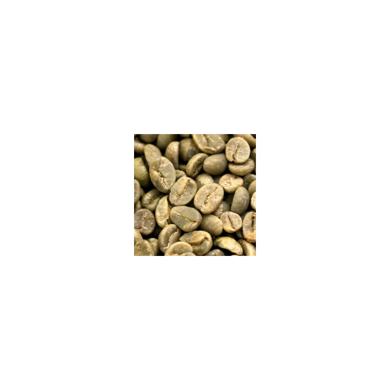 Guatemala SHB EP Huehuetenango Unroasted Coffee Beans