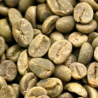 Guatemala SHB EP Huehuetenango Unroasted Coffee Beans