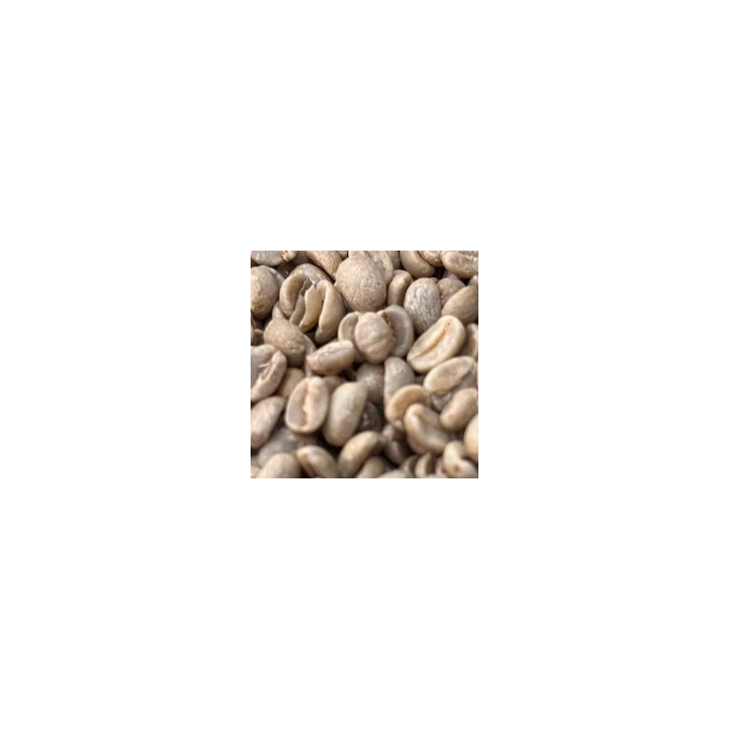 Tanzania Washed AB Unroasted Coffee Beans