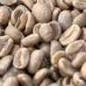 Tanzania Washed AB Unroasted Coffee Beans