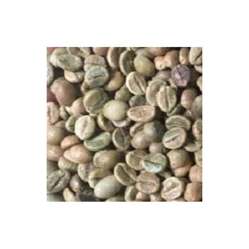 India Plantation AA Karnataka Unroasted Coffee Beans