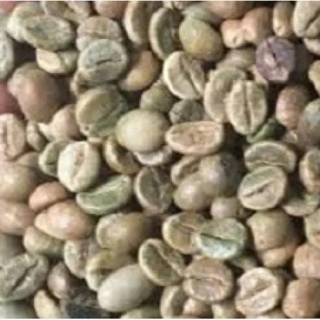 India Plantation AA Karnataka Unroasted Coffee Beans