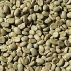 Brazil Cerrado NY2/3 Scr17/18 FC Unroasted Coffee Beans 1KG