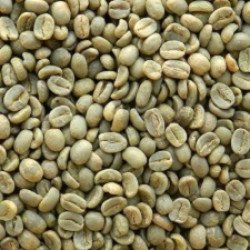 Guatemala SHB EP Unroasted Coffee Beans 1Kg