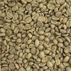 Honduras SHG Unroasted Coffee Beans 1Kg