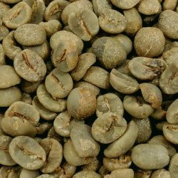 Brazil Santos 14/16 GC Unroasted Coffee Beans 1Kg