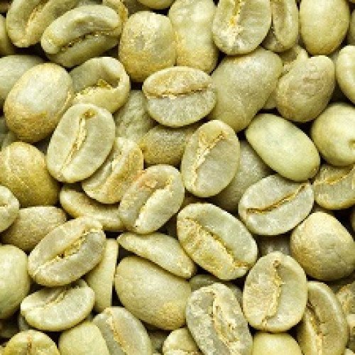 Colombia Excelso EP Unroasted Coffee Beans 1Kg