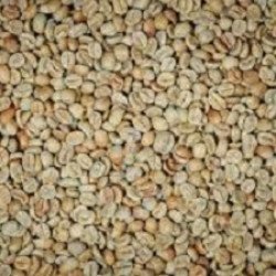 El Salvador SHG EP Queta Unroasted Coffee Beans 1Kg