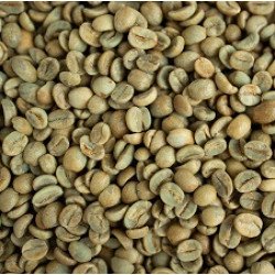 Nicaragua SHG EP Olomega Unroasted Coffee Beans 1Kg